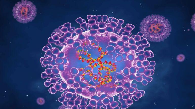 猴痘|您对在英国出现的猴痘了解多少？