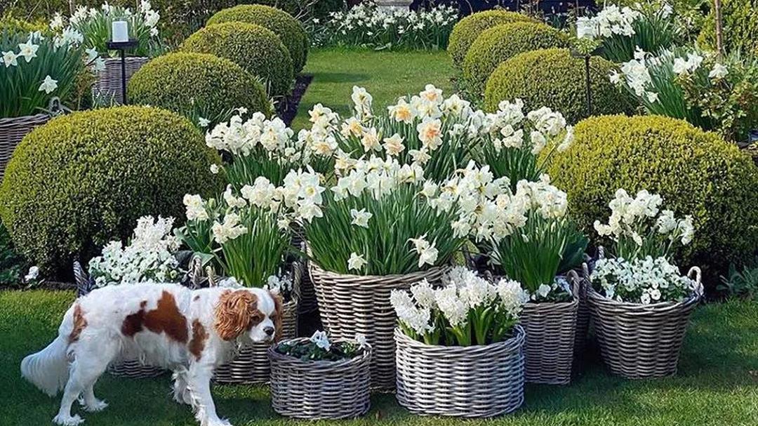 9款庭院花园设计案例，为自己造一个花园