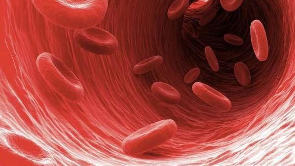 长寿|血型可能决定着你的病症，最长寿的血型是这种，你是什么血型