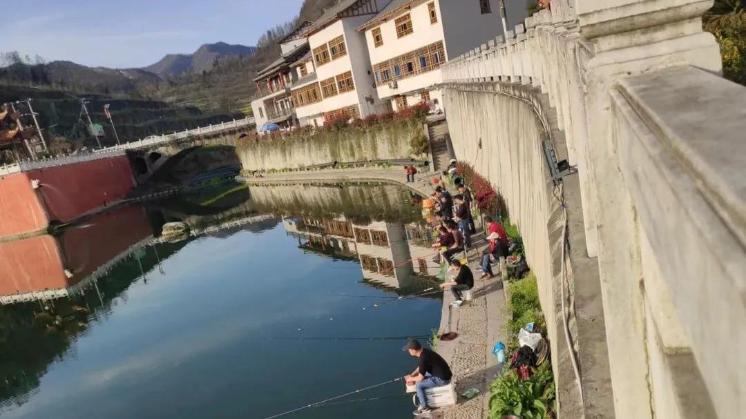 电子商务|深山一村开网店500余家，年销售2亿余元，它是怎么做到的？