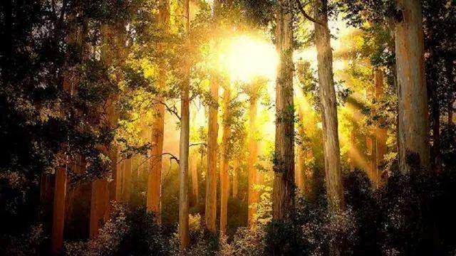 生姜红糖水|阳气不足百病生，平常做好5件事，升发阳气，慢慢把阳气养回来！