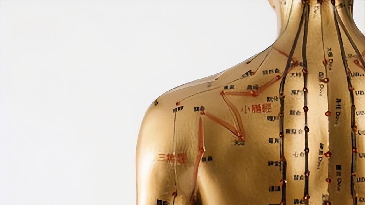 驼背|手脚麻木，经络不通？送你两味药，活血通络，濡养经脉