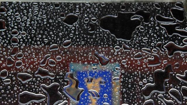 新手拍照容易走弯路，跟着摄影师学技巧，让照片更有深度