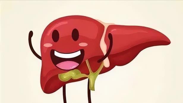 血脂异常|为什么压力和熬夜，对肝脏有致命伤害，背后的原因是什么？