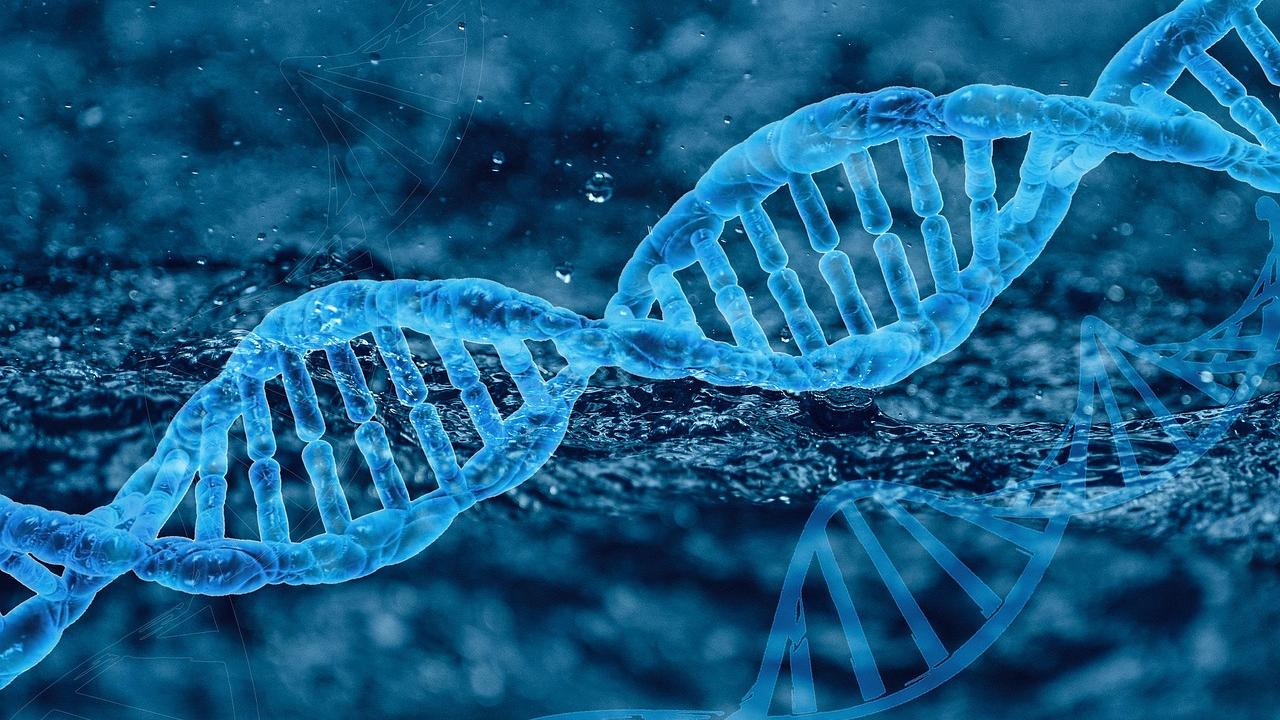 阿里巴巴|微生物基因改造服务平台“芝诺科技”完成超千万元天使轮融资