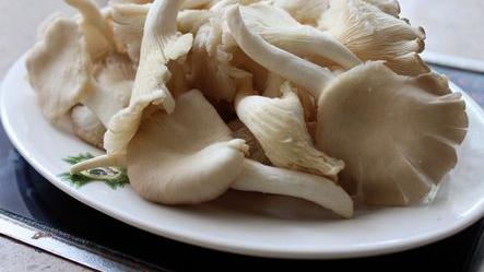 蘑菇|节俭虽重要，这5种剩菜最好不要二次加热，为家人健康，不妨看看