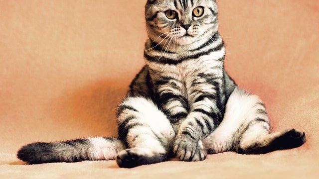 |把这4条职场社交思维嚼碎了咽进肚子里，只做不说，坚持下去！