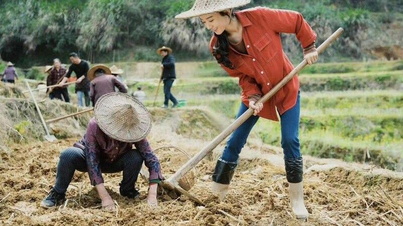 赵丽颖|出道前曾是空姐，经历劈腿看清爱情！10件流量女王赵丽颖的故事！