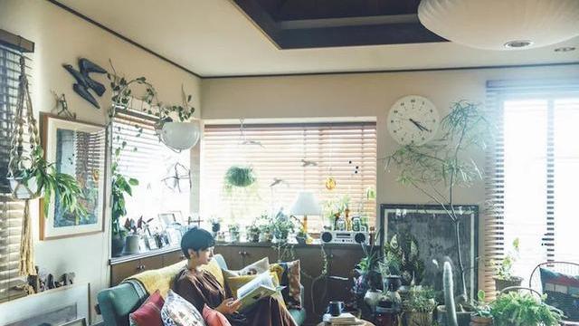 50岁日本太太的精致家居，在家装点出春天，满屋绿植，温馨又养眼