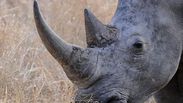 短发|逆向思维：不是你没有能力，而是你从来没有深度思考