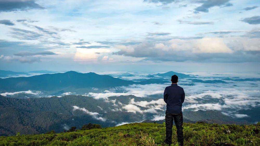 倪萍|中年人的成熟：扛得住事，认得了怂，装得了傻