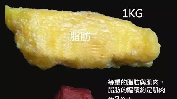 减脂 减肥不是减重！3个方法让你减脂不减肌，提升减肥成功率