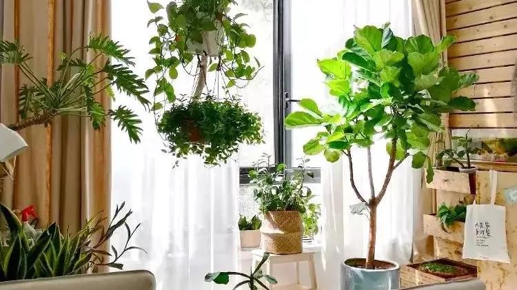 装修有些地方可以省钱，有些地方不能省！