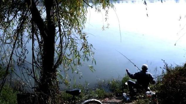 空军|夏季野钓，别再死守一整天，掌握4条“法则”，出钓就能连竿大鱼