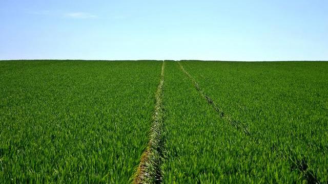 |主动的人生，并非没有遗憾；汉娜：“勇于尝试”