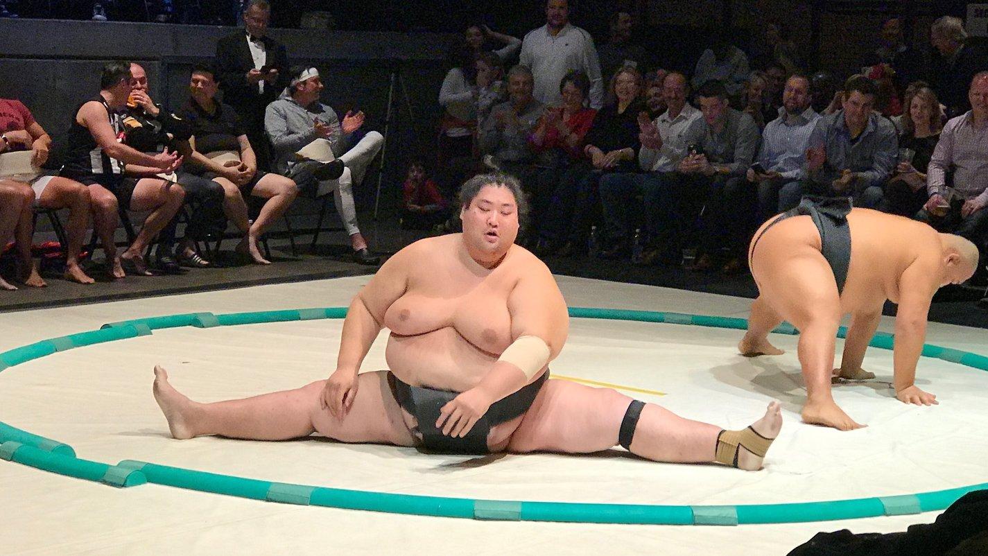 相扑 退役后，日本相扑需要减肥吗？如何过正常的生活？
