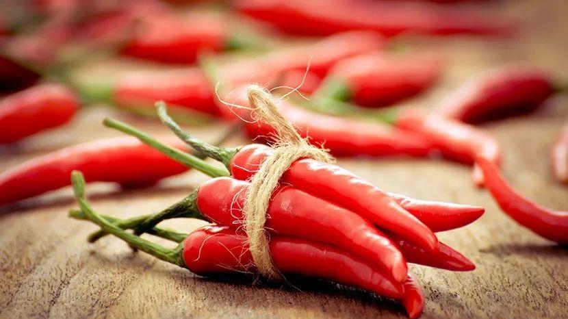 运动|一举两得！研究发现常吃辣椒可延长寿命和抵御寒冷