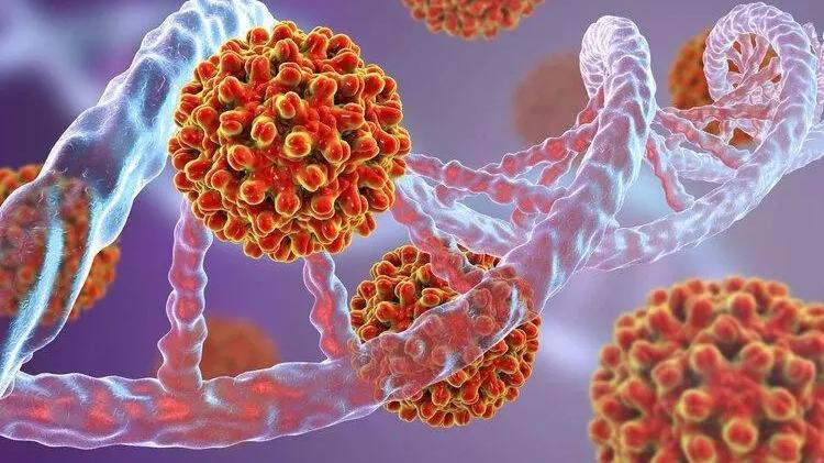 肝脏|转氨酶有什么意义，升高就是肝损伤了么，保护肝脏要怎么做？