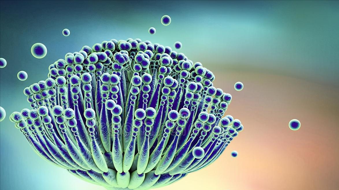 血栓|睡眠质量低，哪些坏影响会不请自来？别太大意