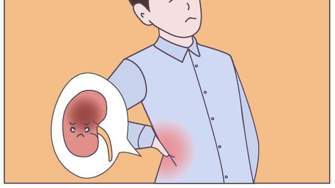 疾病|肾虚到底是什么？和“那方面”有关系吗？