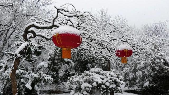 虎年拍雪不马虎，五个摄影技巧，把雪景照片拍得更漂亮