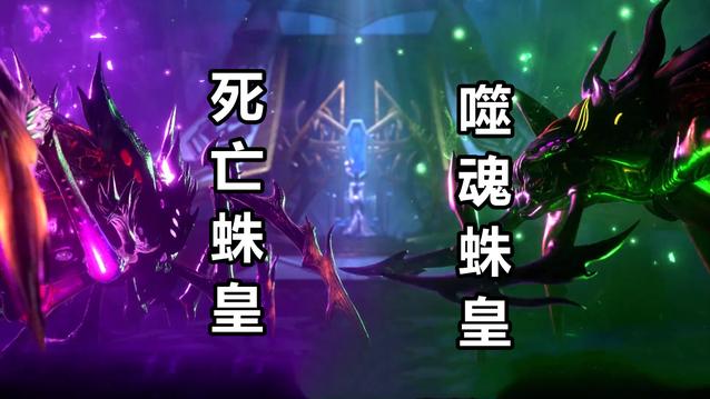 比比东|比比东终于秀出了两大蛛皇，死亡蛛皇+噬魂蛛皇，都是邪恶大蜘蛛