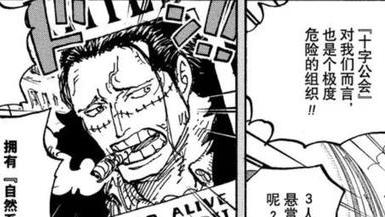 鳄鱼|海贼王1058话：鳄鱼的果实已觉醒，索隆即将修炼出黑刀，鹰眼笑了