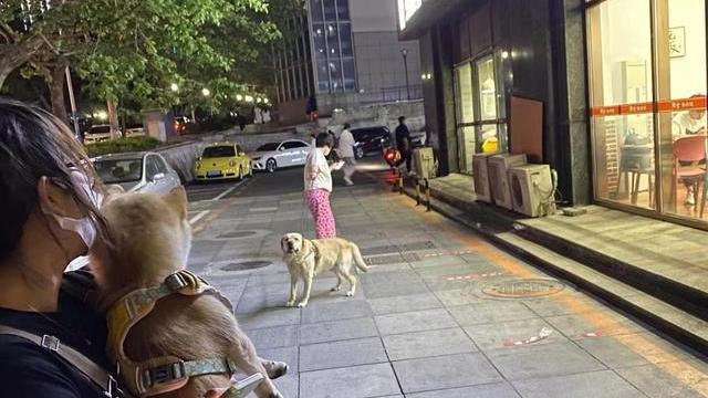 求职|失业率创下新高！找工作变困难，连名牌大学毕业生也不例外