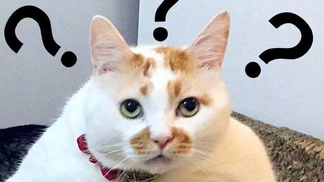 军人|妈妈：请不要区别对待！直面潜规则，我们不差？职场心酸二三事