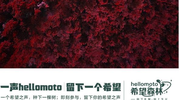 摩托罗拉|不送充电头的苹果是真环保？看看摩托罗拉，默默点绿沙漠