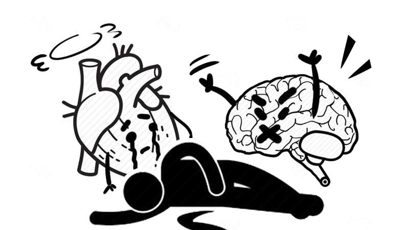 高血压|心脑血管疾病的出现，或与这4个原因有关，若你有，要做好预防