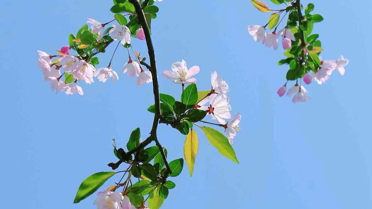 米饭|忘掉一个深爱的人，最好的方式就一个字