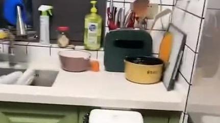 浙江一朋友来女子家做客意外发现橱柜门装反，女子：住2年没发现