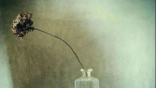 红酒|世界上最好的养生，就一个字！（说的太对了）