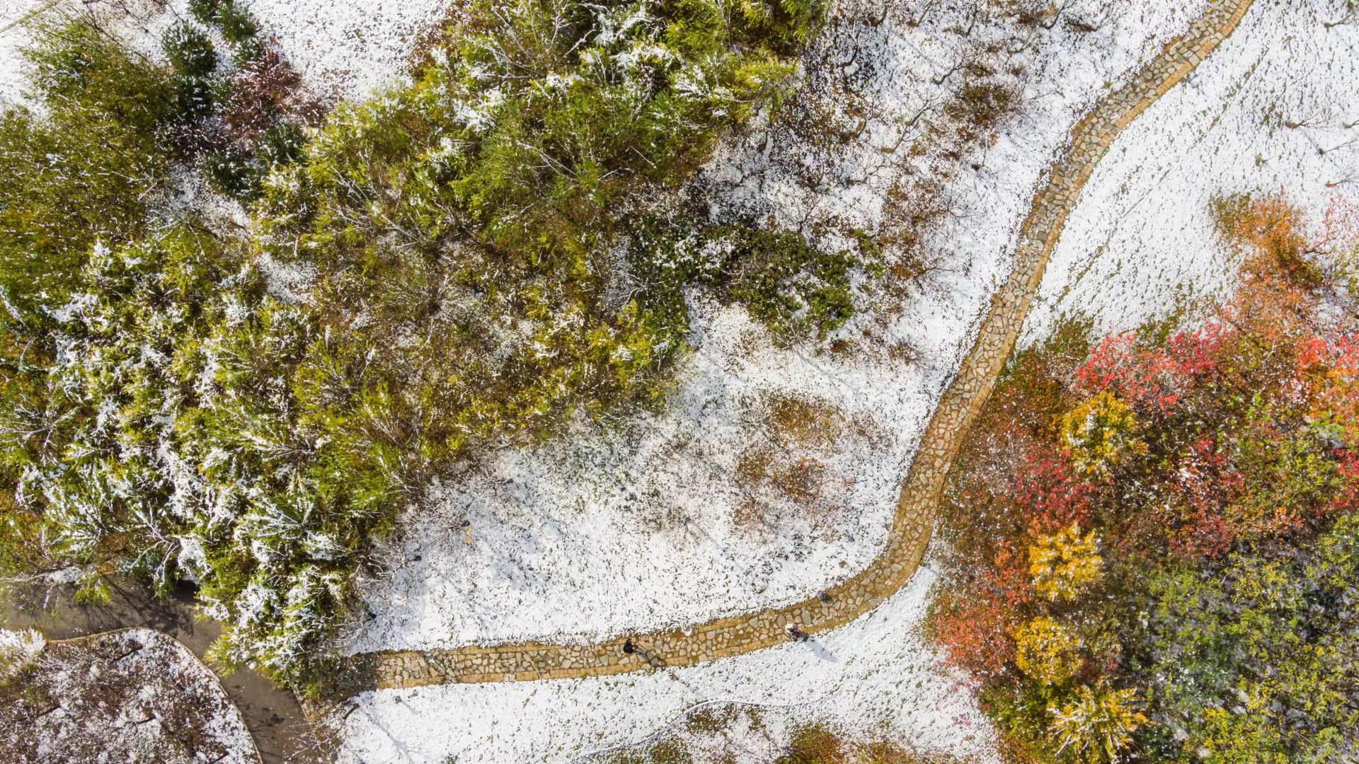 网购|网购那么多年，你总结出哪些实用的“硬道理”？