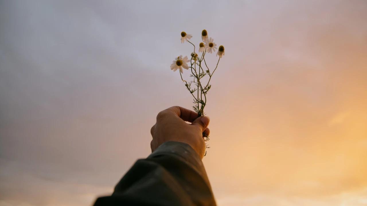 香蕉|十年的失眠终于好了，1个方法分享病友，你也可以好梦到天亮