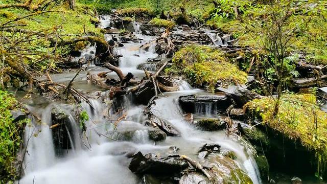 华为|如果你有8千的预算，买华为、三星还是苹果？