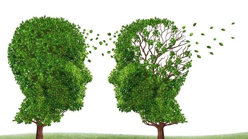 运动|害怕自己老了得了老年痴呆症？40岁过后，这2种饮食模式早戒掉