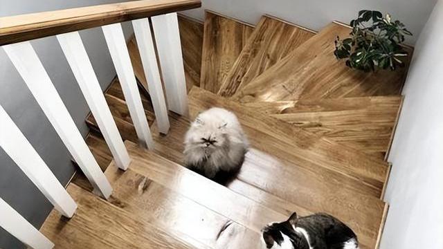 如果家里有个楼梯，我也在两边侧墙做衣帽间！至少能装下半个家