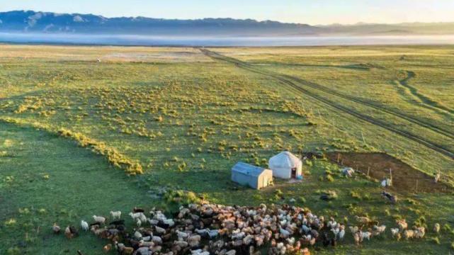 东莞|天降喜运好事来到，属羊人事业逆袭发展态势一片大好，在职场翻身