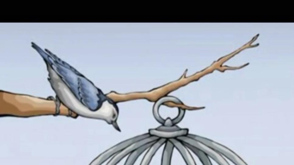 |一组讽刺现实的漫画看完令无数人深思特别是第6张，值得反思