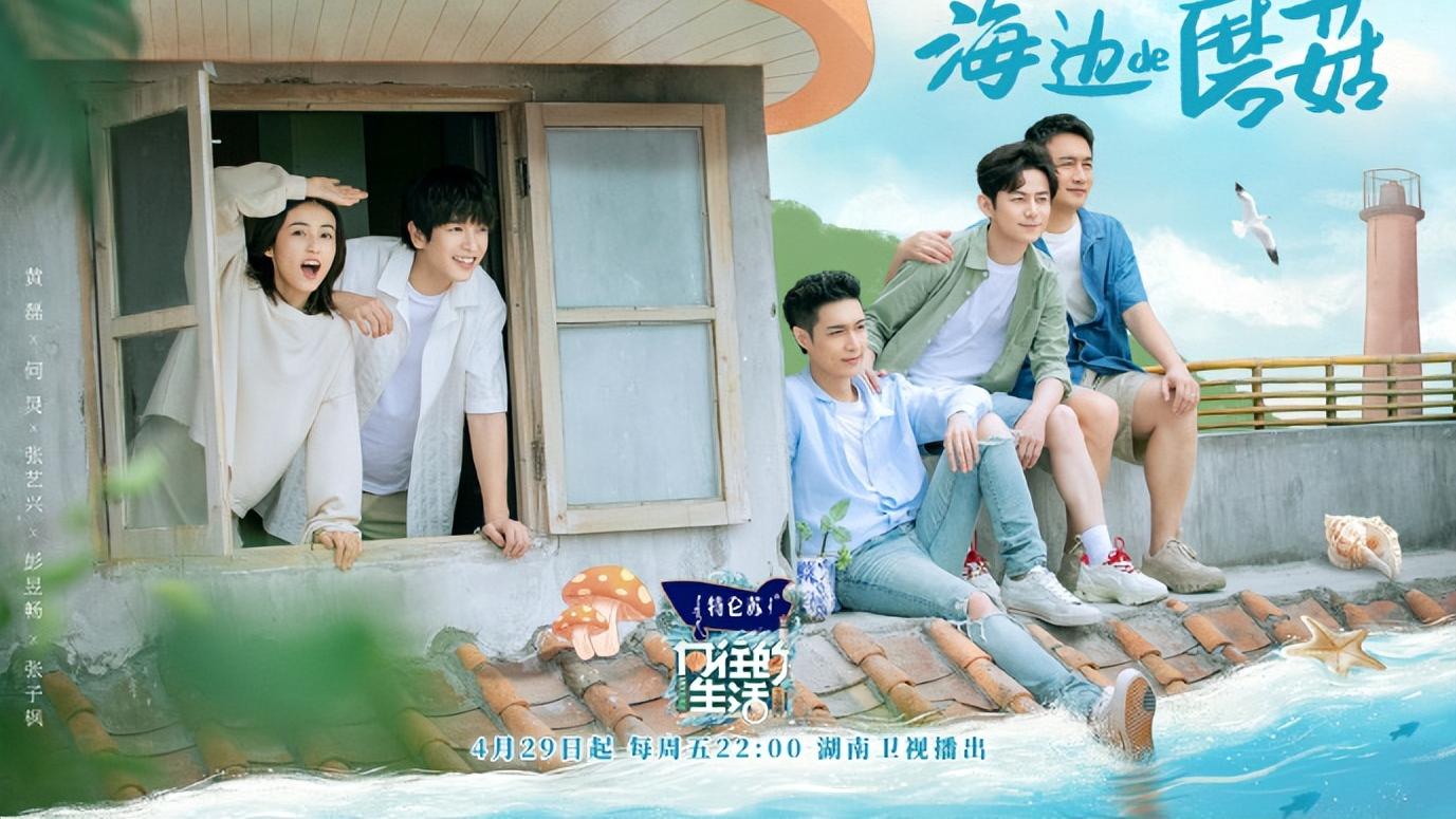 天天向上|挤走《天天向上》，拿下收视第一，《向往的生活6》才是收视保证