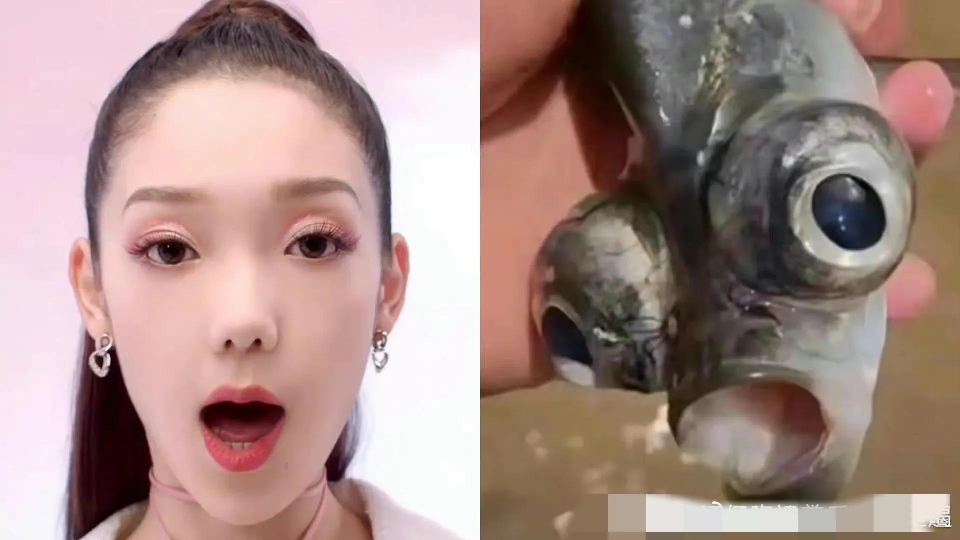 小姐姐|明明长相平平无奇，却粉丝被吹成盛世美颜，这几位明星丑而不自知