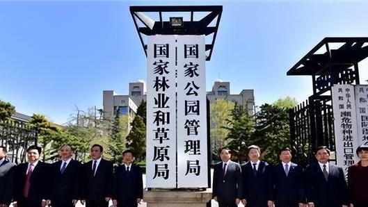 自由职业者|又一国企开始招正式工，本科可报招311人，河南广东浙江等地有岗