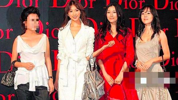 林志玲|林志玲合影真不简单，小s被秒成小丑，李嘉欣被压制毫无还手之力