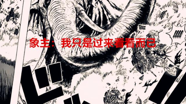 海贼王|海贼王1052话：象主观战后离开了，光月时口中的九影又有变故了