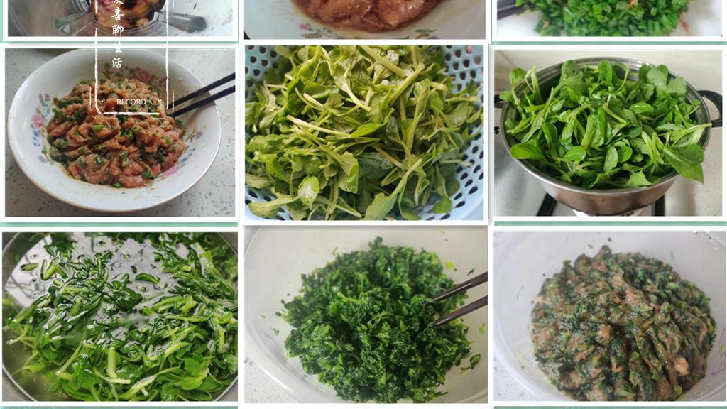 |比白菜还嫩，比芹菜还鲜，立夏过后快点吃，调成馅包馄饨，太鲜美