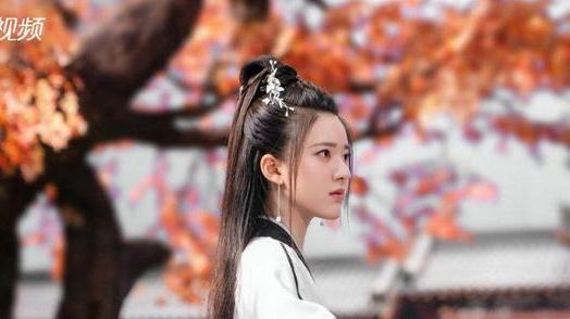 杨洋|杨洋出演金庸经典作品，被爆再搭赵露思，徐正溪、王楚然重磅加盟