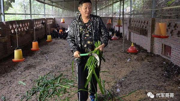 李宇春|“三德子”赵亮：娶小16岁美女模特，养鸡身家过亿，如今53岁很幸福