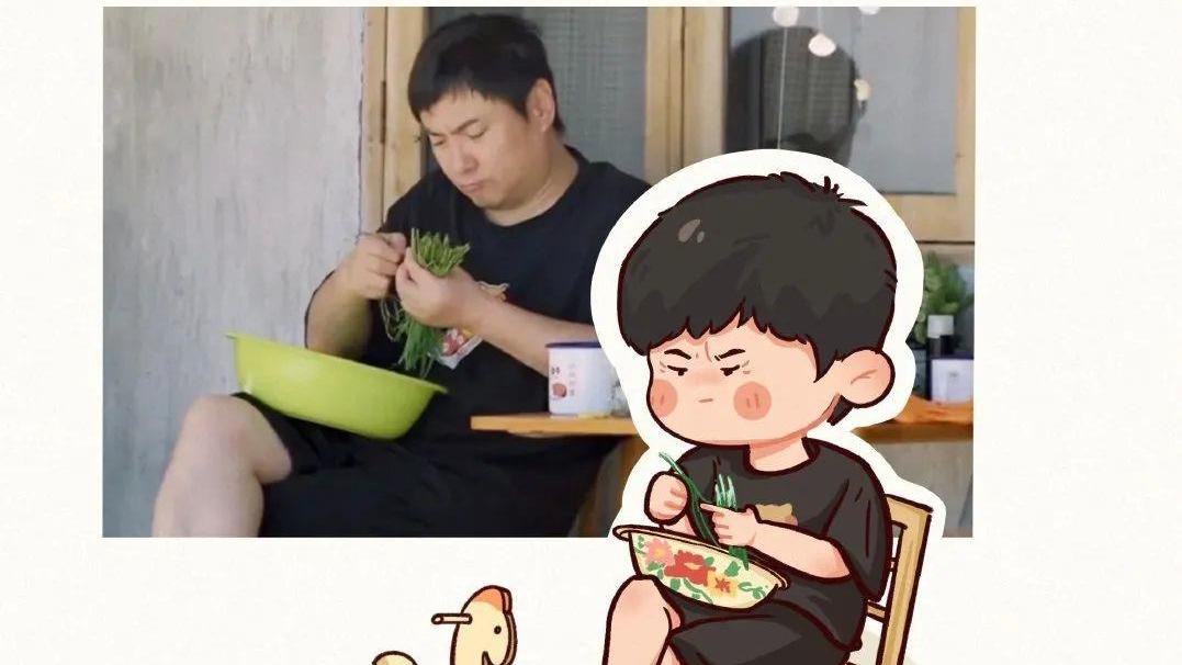 金晨|刘恺威，鹿晗，金晨王安宇，沈腾，吴谨